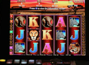 AG飞禽走兽多人版